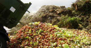 FAO-pide-reducir-desperdicio-de-alimentos