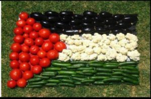 UZTARO Kooperatiba: Resistencia Palestina y Soberanía Alimentaria.