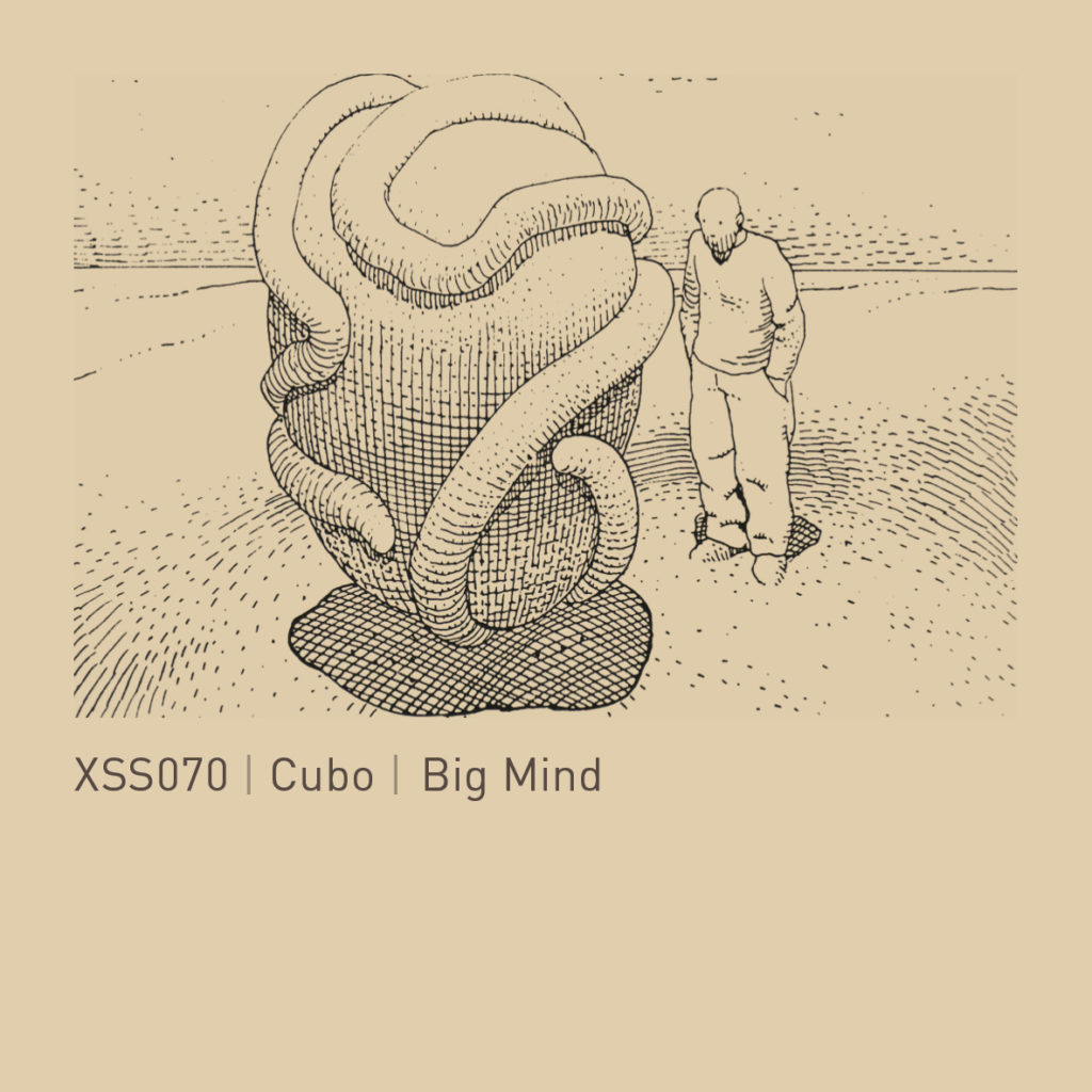 XSS070 | Cubo | Big Mind