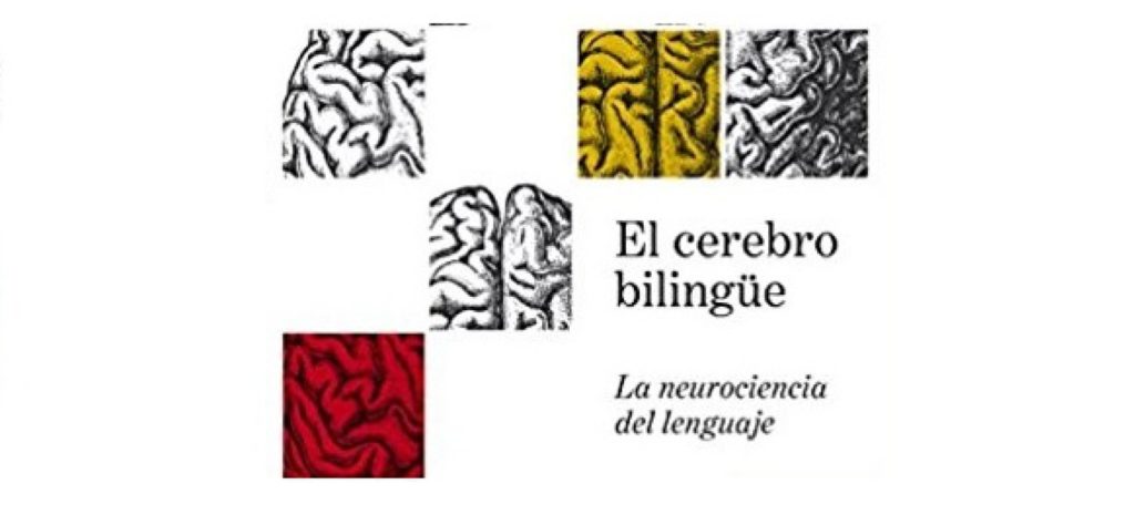 Albert Costa (Profesor de investigación en el Centro de Cerebro y Cognición de la Universidad Pompeu Fabra):  «Incorporar una nueva lengua afecta a la robustez del sistema cerebral»