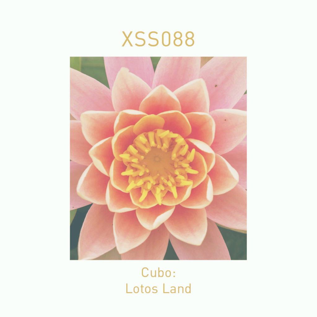 XSS088 | Cubo | Lotos Land