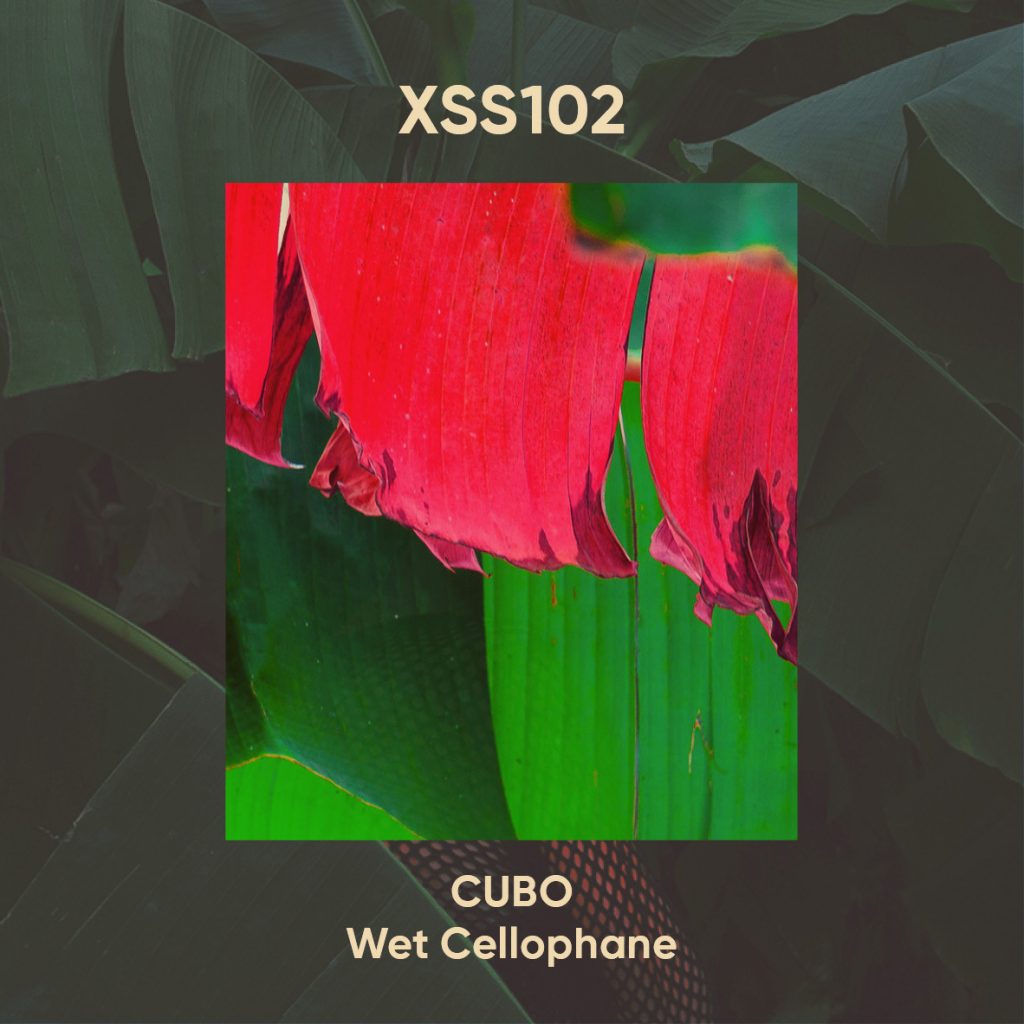 XSS102 | Cubo | Wet Cellophane