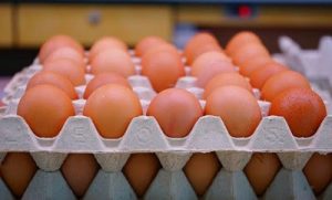 Consecuencias ambientales de la industria del huevo