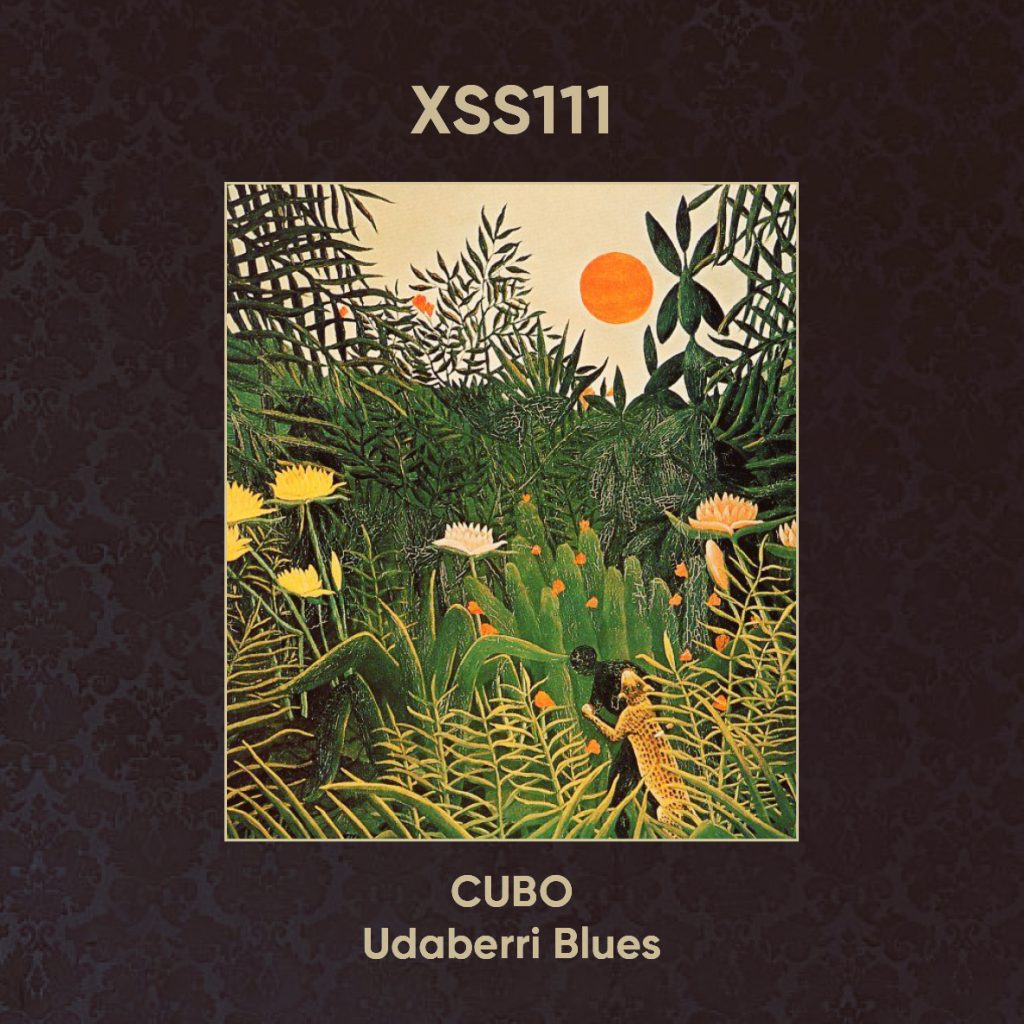 XSS111 | Cubo | Udaberri Blues