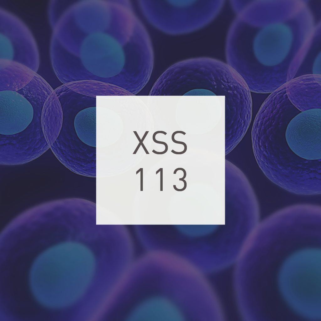 XSS113 | Cubo | Stereoscope