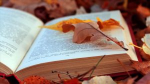 Literatura | Recomendaciones para este otoño