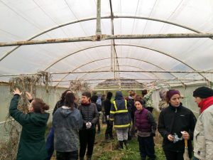 Agroecología | Etxaldeko Emakumeak poniendo la vida en el centro desde la soberanía alimentaria