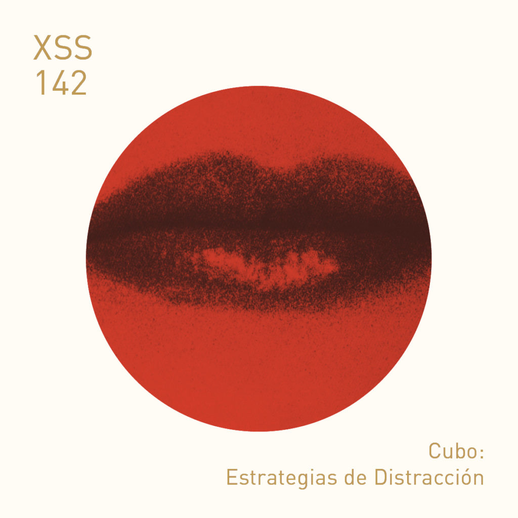 XSS142 | Cubo | Estrategias de Distracción
