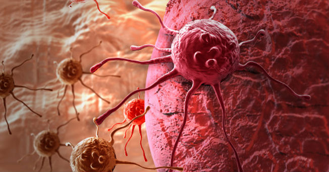 Ciencia | Aiala Salvador y Edorta Santos: “La nanoterapia es, más que una alternativa, un complemento de la quimioterapia y la radioterapia”