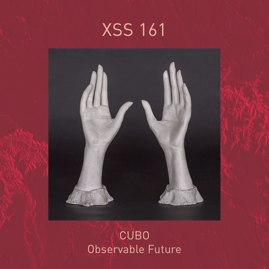 XSS161 | Cubo | Observable Future