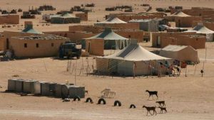Sahara | S.O.S presas y presos políticos