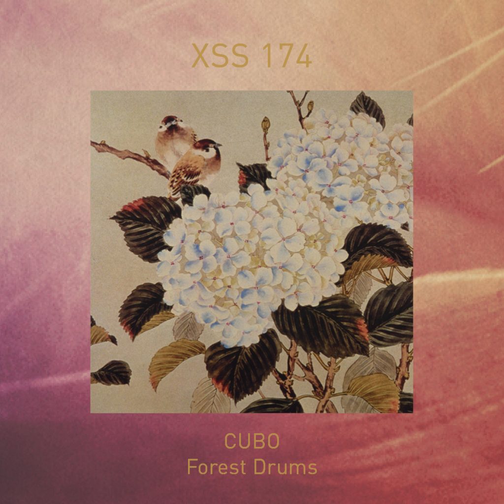 XSS174 | Cubo | Forest Drums