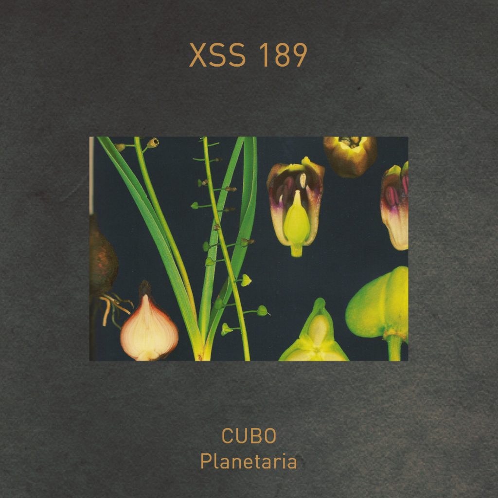 XSS189 | Cubo | Planetaria