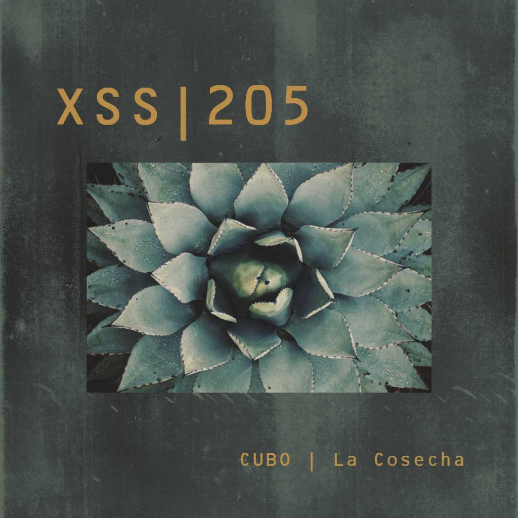 XSS205 | Cubo | La Cosecha