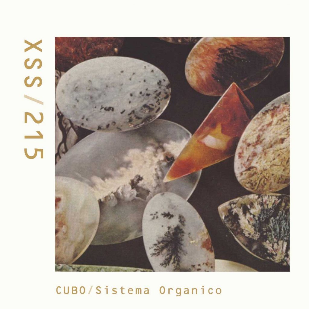 XSS215 | Cubo | Sistema Orgánico
