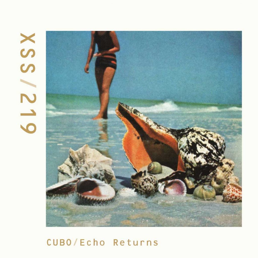 XSS219 | Cubo | Echo Returns