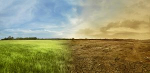 Agroecología | “El cultivo ecológico sigue avanzando en Euskal Herria pero no lo suficiente”