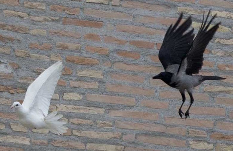 La fábula del cuervo y la paloma