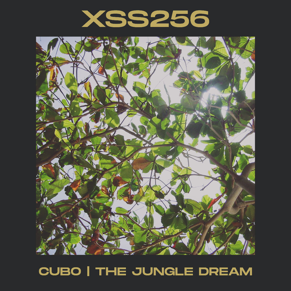 XSS256  | Cubo | The Jungle Dream