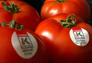 Antropologia | Euskal labeldun tomatearen historia