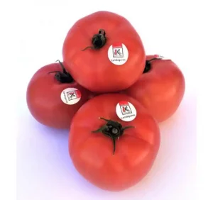 Antropologia | Jack tomatearen hazien peskizan