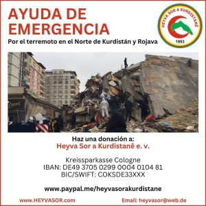 Análisis del terremoto en Kurdistan