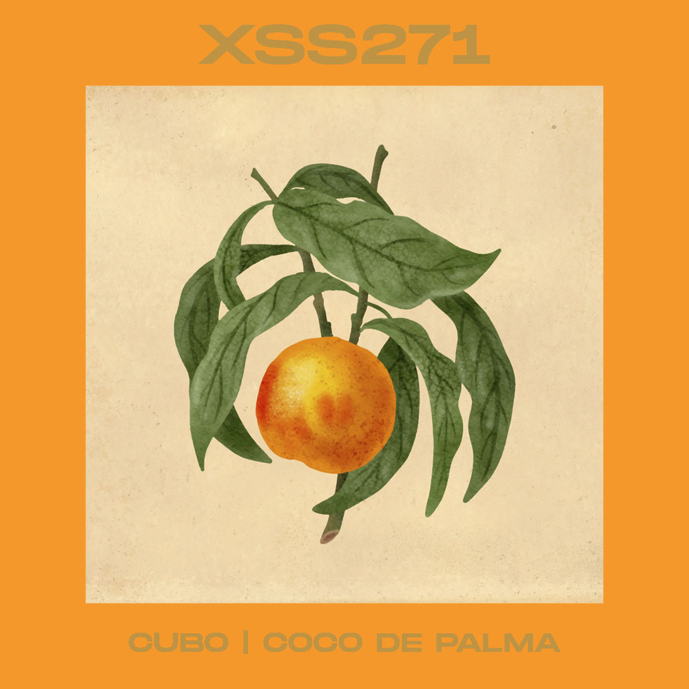 XSS271 | Cubo | Coco de Palma