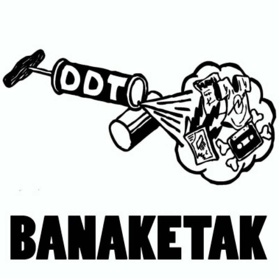 Literatura | DDT Banaketak