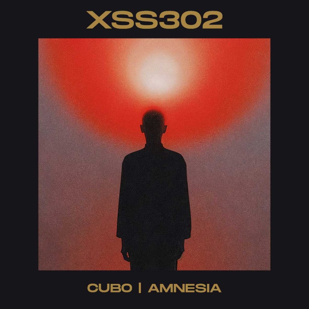 XSS302 | Cubo | Amnesia