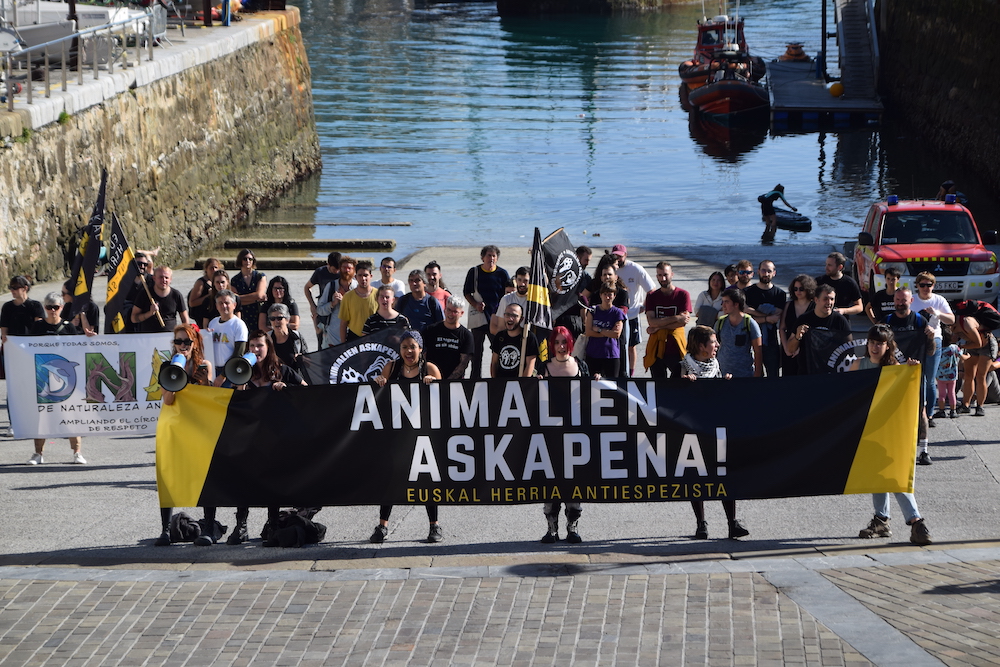 Maialen (Nor antiespezista): “Donostiako Aquariuma bai hiriaren zein animalien esplotaziorako tresna da”