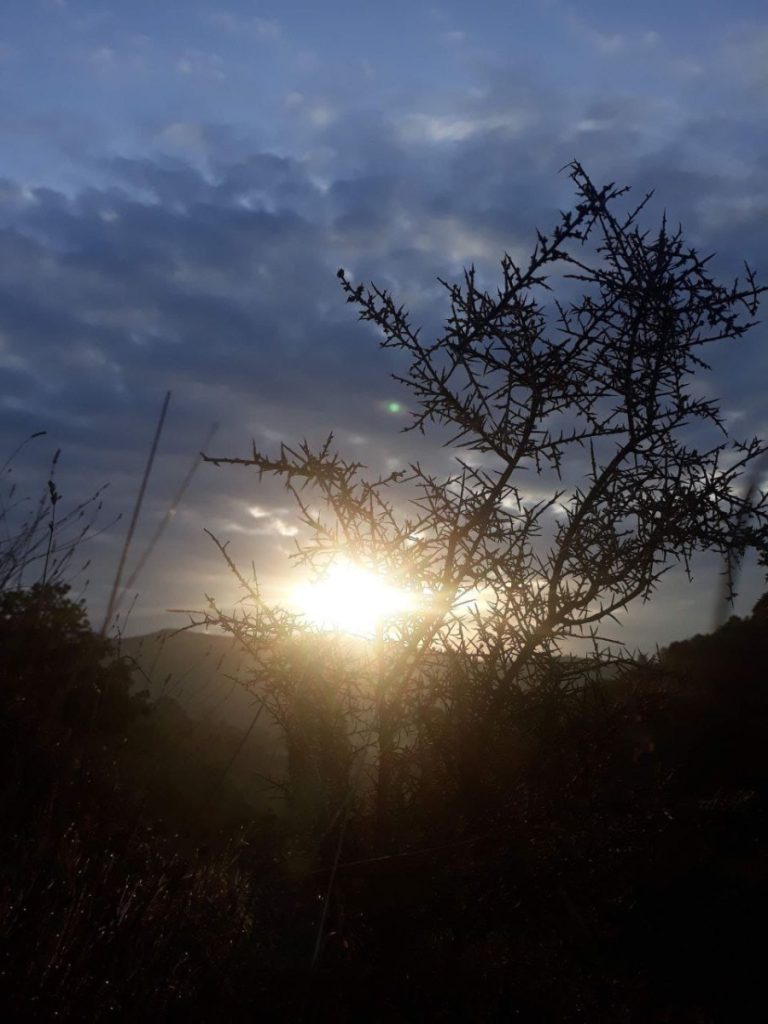 Abrazar la sombra de los cuidados