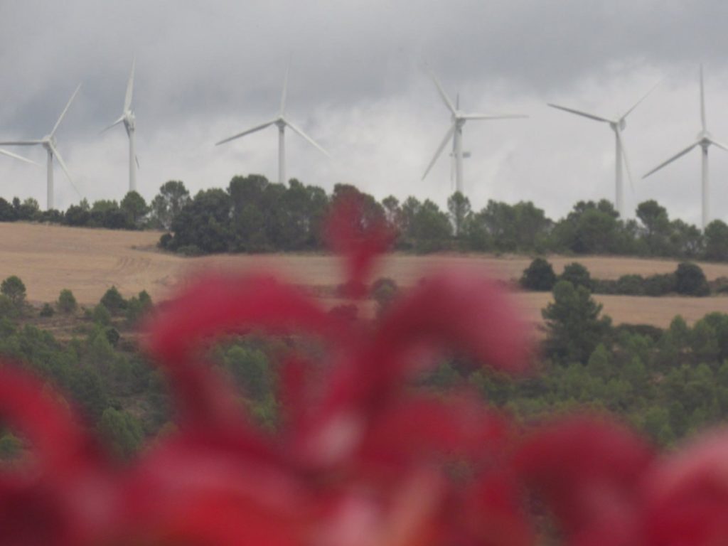 Bira ekofeminista Araban