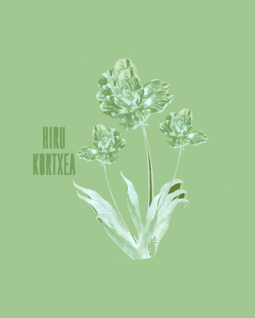 25-26ko LEHEN PROGRAMA – TXATXARA