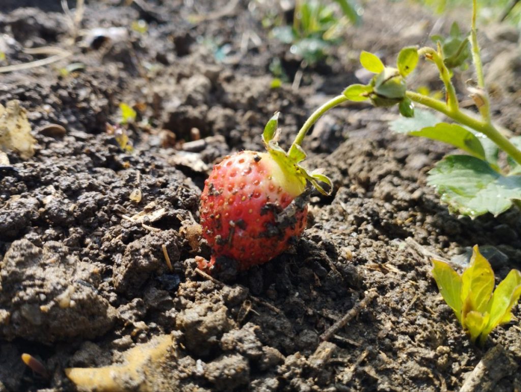 5. “Sinsorga hutsa naiz”, proiektuaren sukalde gisa
