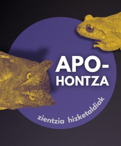 Apo-Hontza | Errege magoen izarra jarraituz[:]
