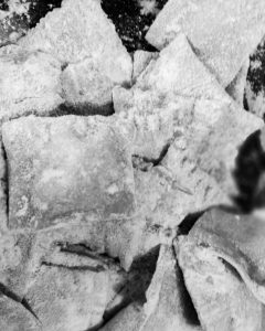 9. Palestinaren aldeko su txikiak[:]