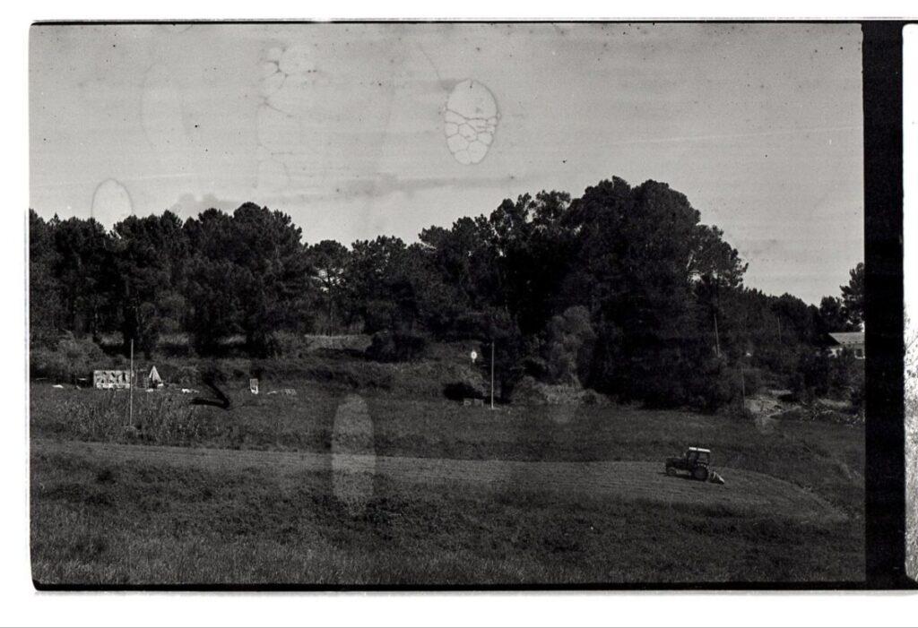 I. Lurra, bizipoza eta alkar laguntzea, bizitza luze eta emankorrerako ipar